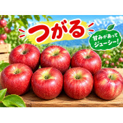 贈答用りんご（つがる）5㎏