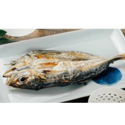 男鹿の風　まるごと男鹿の姿鯵