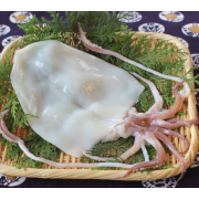 白いか一夜干し