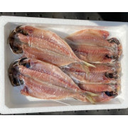 どんちっちあじ一夜干し