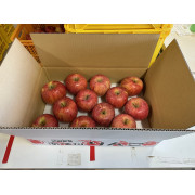サンふじ家庭用５kg　（他品番との同時注文不可）【出荷時期：10月中旬より順次】