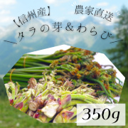 【信州】高原育ち　天然のタラの芽＆わらびセット　350ｇ【出荷時期：4月中旬より / 販売期間：4月末頃まで】