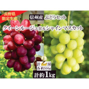 シャインマスカット＆クイーンルージュ® 1kg（他品番との同時注文不可）【出荷時期：10月上旬から順次】