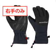 アルパイン ライトグローブ Men's