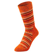 WIC.トレッキングソックス Women's