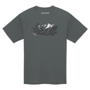 WIC.T バードリサーチ ホシガラス