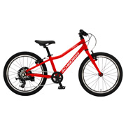 シャイデック Kid's 20