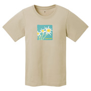 US ペアスキンコットン T Women's エーデルワイス