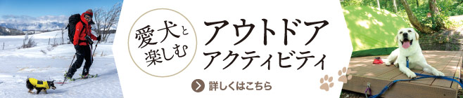 愛犬と楽しむアウトドアアクティビティ