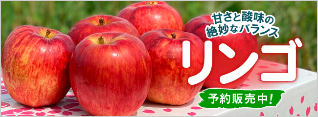 【フレンドマーケット】リンゴ