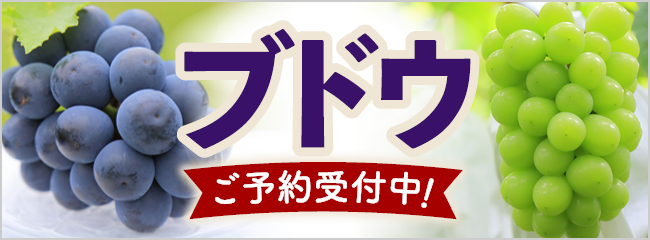 【フレンドマーケット】ブドウ