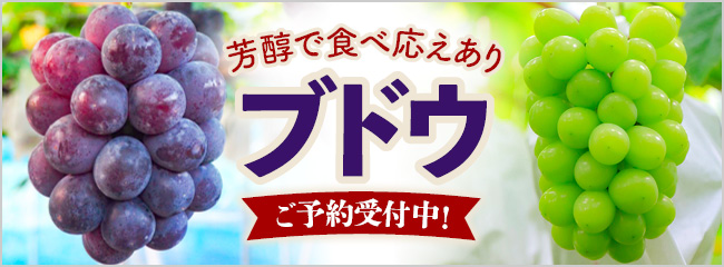 【フレンドマーケット】ブドウ