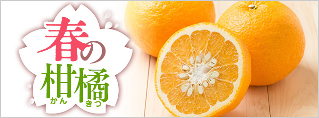 【フレンドマーケット】柑橘