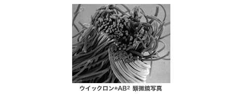 イメージ画像