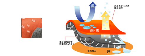 イメージ画像