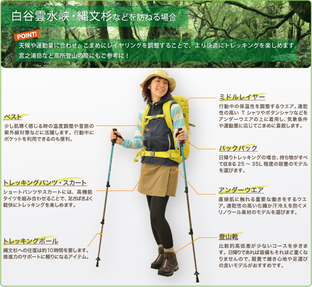 style1.jpg