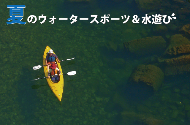 BMG様連絡用 179183-1 : Positive Lock 圧着端子ハウジング | TE Connectivity