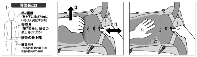 背面長について説明したイラストと、バックパックの背面長を調整する手順を説明したイラスト。