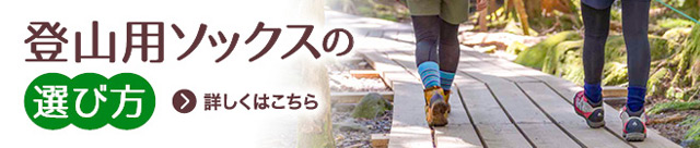 登山道を女性2人が歩いている足元の画像、登山用ソックスの選び方。