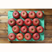 完熟ふじりんご秀3kg（11～14玉）（他商品との同時購入不可）【出荷時期：12月上旬より / 販売期間：12月中旬まで】