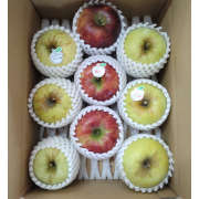 品種おまかせ 樹上完熟リンゴ詰め合わせ3kg【出荷時期：10月上旬より / 販売期間：11月中旬頃まで】
