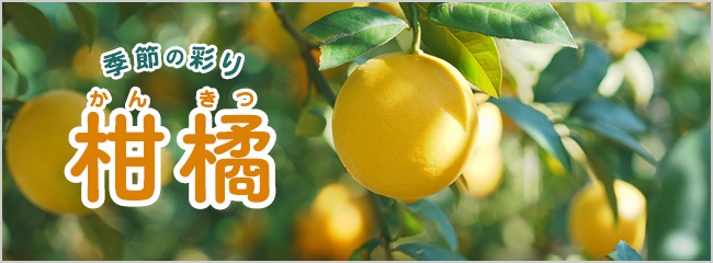 【フレンドマーケット】柑橘